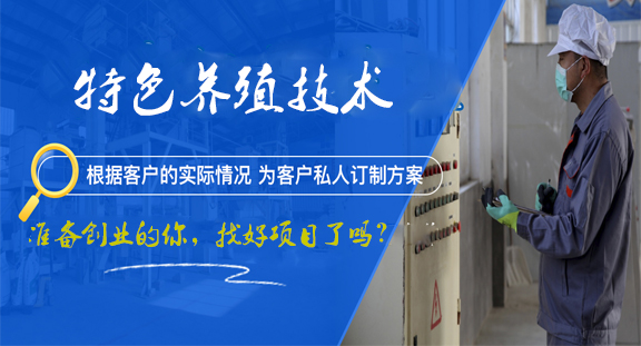 特色養(yǎng)殖技術(shù)新康科技