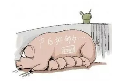脫霉劑