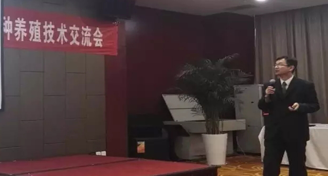 發(fā)酵飼料