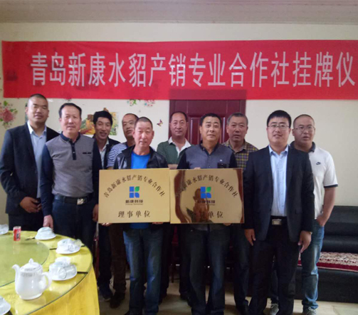 青島新康水貂產(chǎn)銷專業(yè)合作社納員啦！快看看都有誰入社