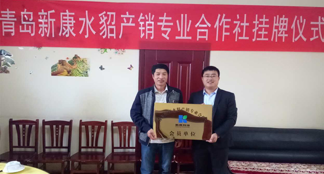 青島新康水貂產(chǎn)銷(xiāo)專(zhuān)業(yè)合作社
