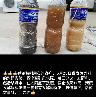 發(fā)酵飼料實驗