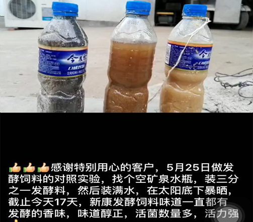 小礦泉水瓶里藏著發(fā)酵飼料的大秘密