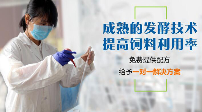 發(fā)酵技術(shù)新