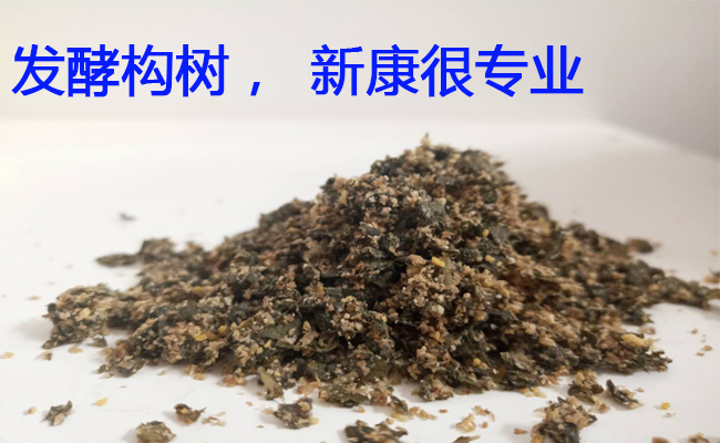 發(fā)酵構樹廣告
