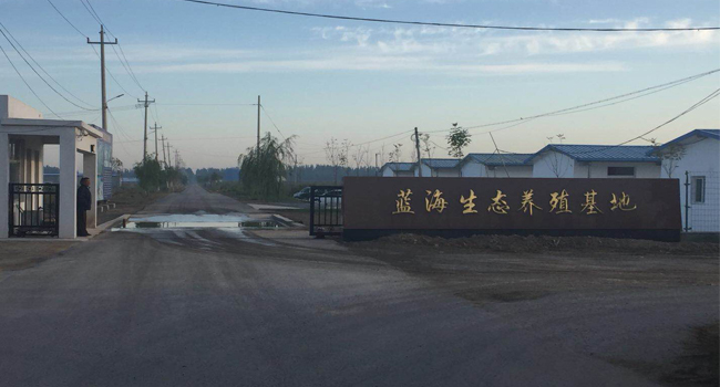 全株玉米飼料發(fā)酵技術(shù)合作