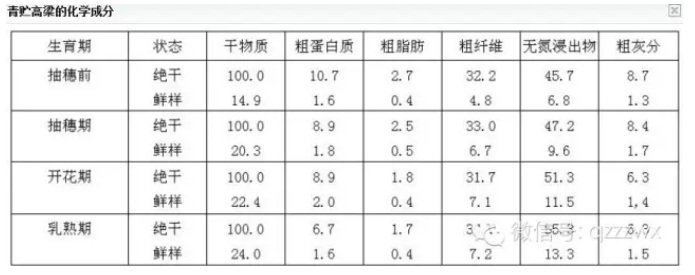 高粱青貯發(fā)酵