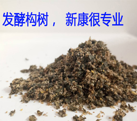 發(fā)酵構(gòu)樹