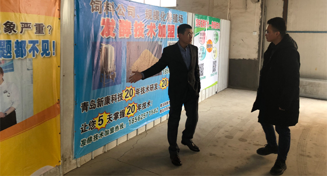 貴州構(gòu)樹扶貧飼料發(fā)酵技術(shù)