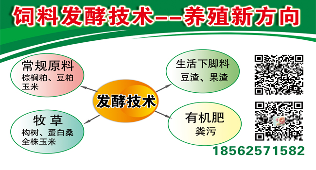 飼料發(fā)酵技術(shù)加盟