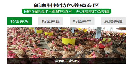 發(fā)酵床養(yǎng)殖技術(shù)