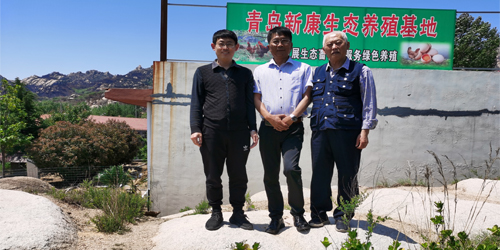 參觀發(fā)酵床養(yǎng)雞基地