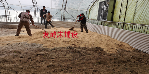 新康科技發(fā)酵床技術(shù)