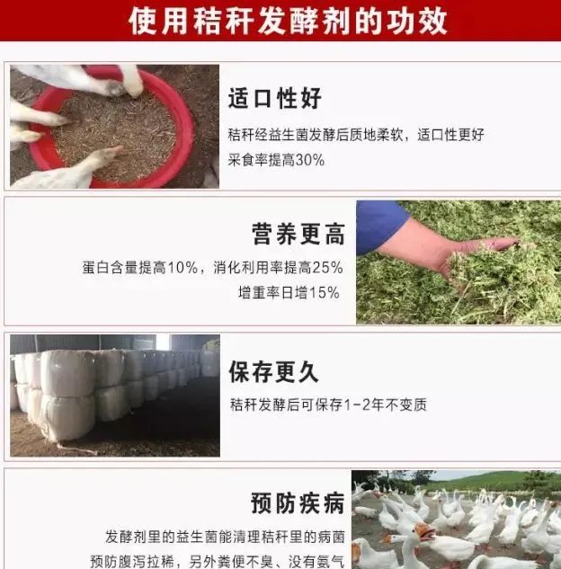 微信圖片_20220706155733