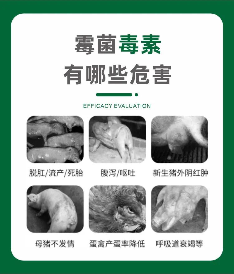微信圖片_20220707151010