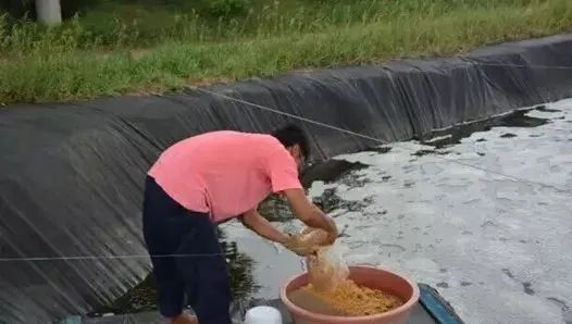 微信圖片_20220708102441