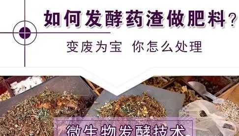 微信圖片_20220811145515