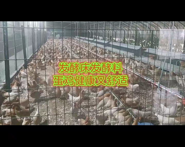 微信圖片_20220818165655