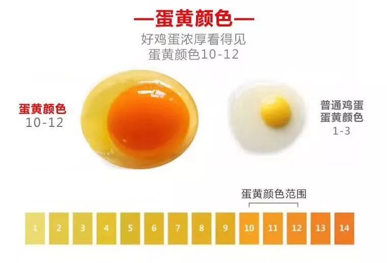 微信圖片_20220913161309