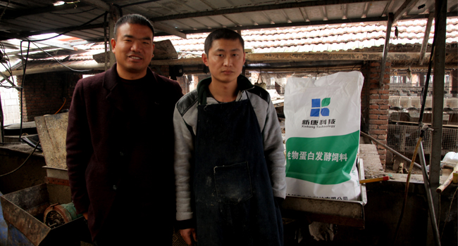 青島新康發(fā)酵飼料：助力養(yǎng)殖戶(hù)節(jié)省成本，提升效益