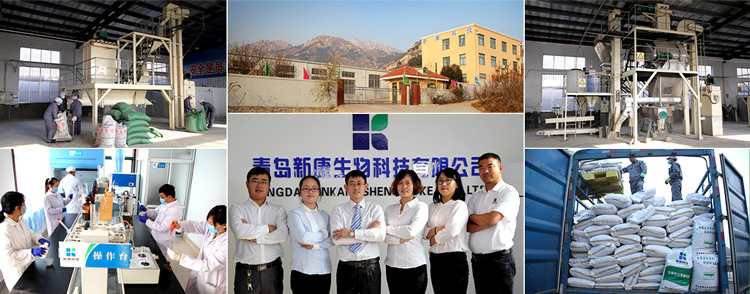 新康實(shí)力
