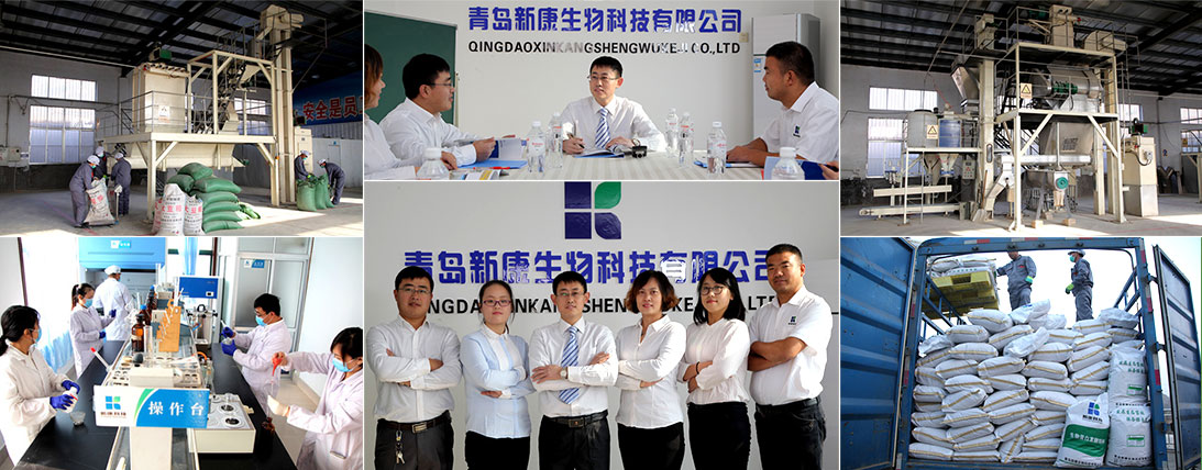 公司實力
