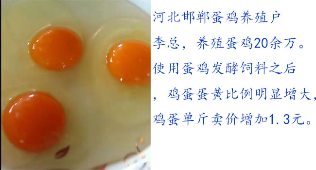 蛋雞發(fā)酵飼料增加產(chǎn)品賣價